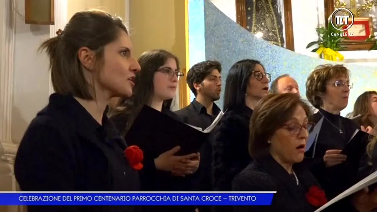 TLT Molise live