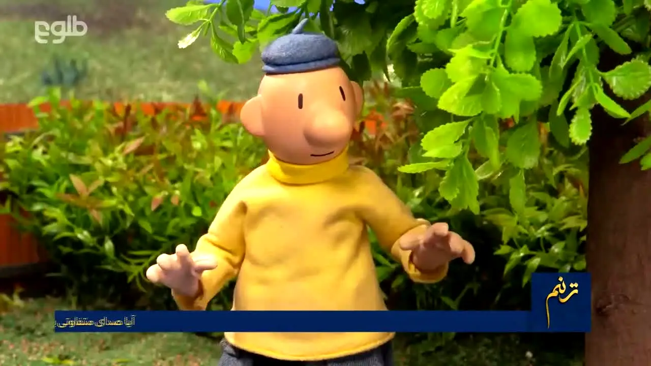 Tolo TV na żywo
