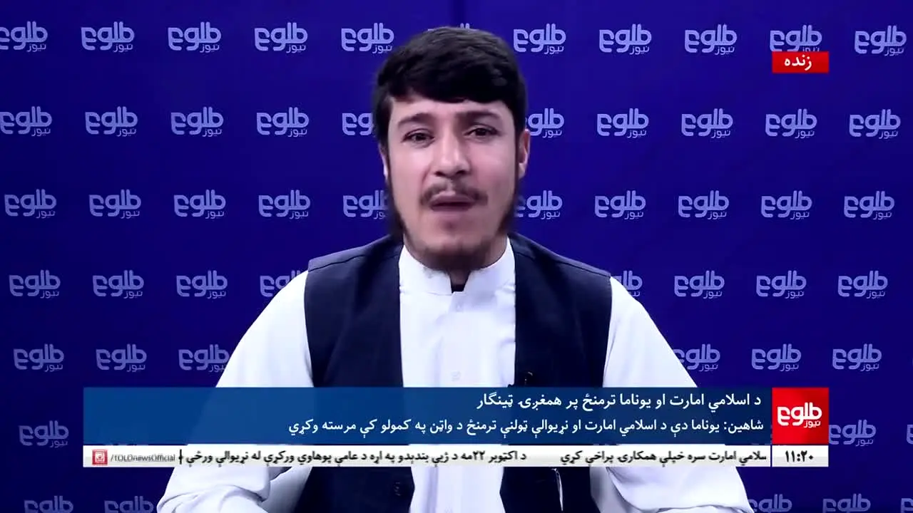TOLOnews in diretta