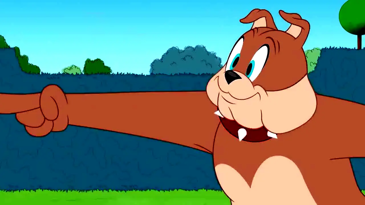 Tom And Jerry live