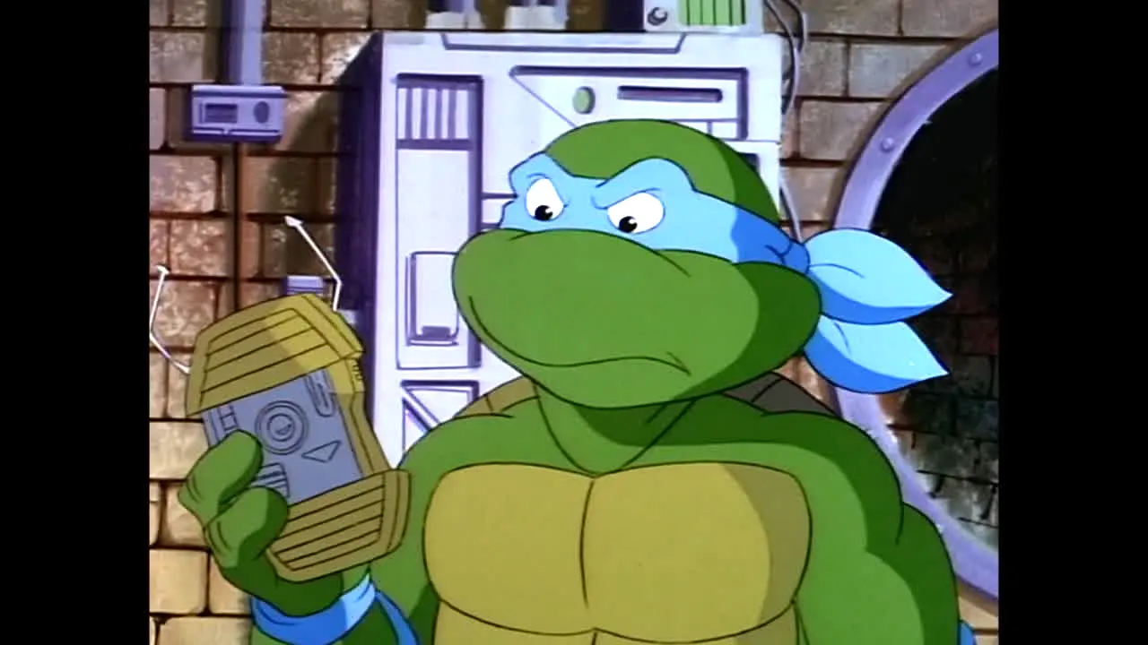 Totally Turtles live