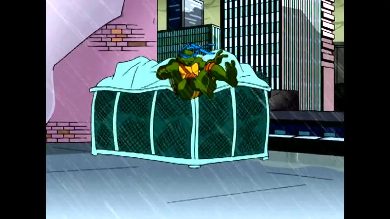 Totally Turtles live