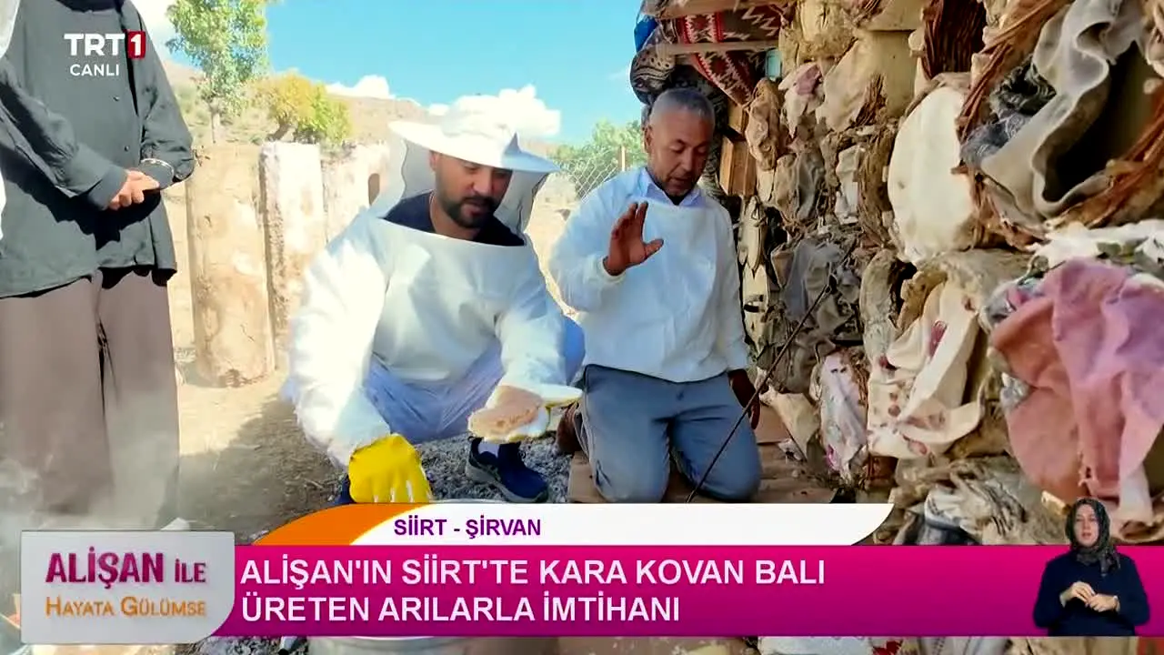 TRT 1 en vivo