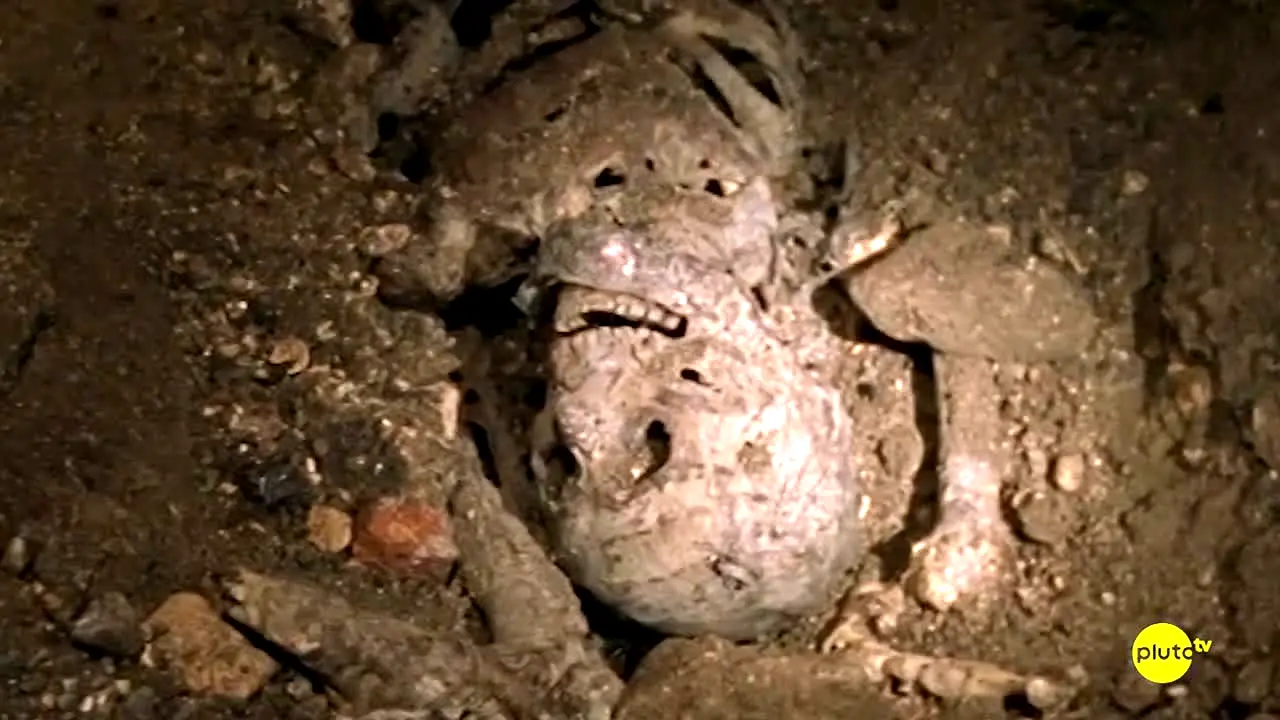 True Crime by Pluto TV live