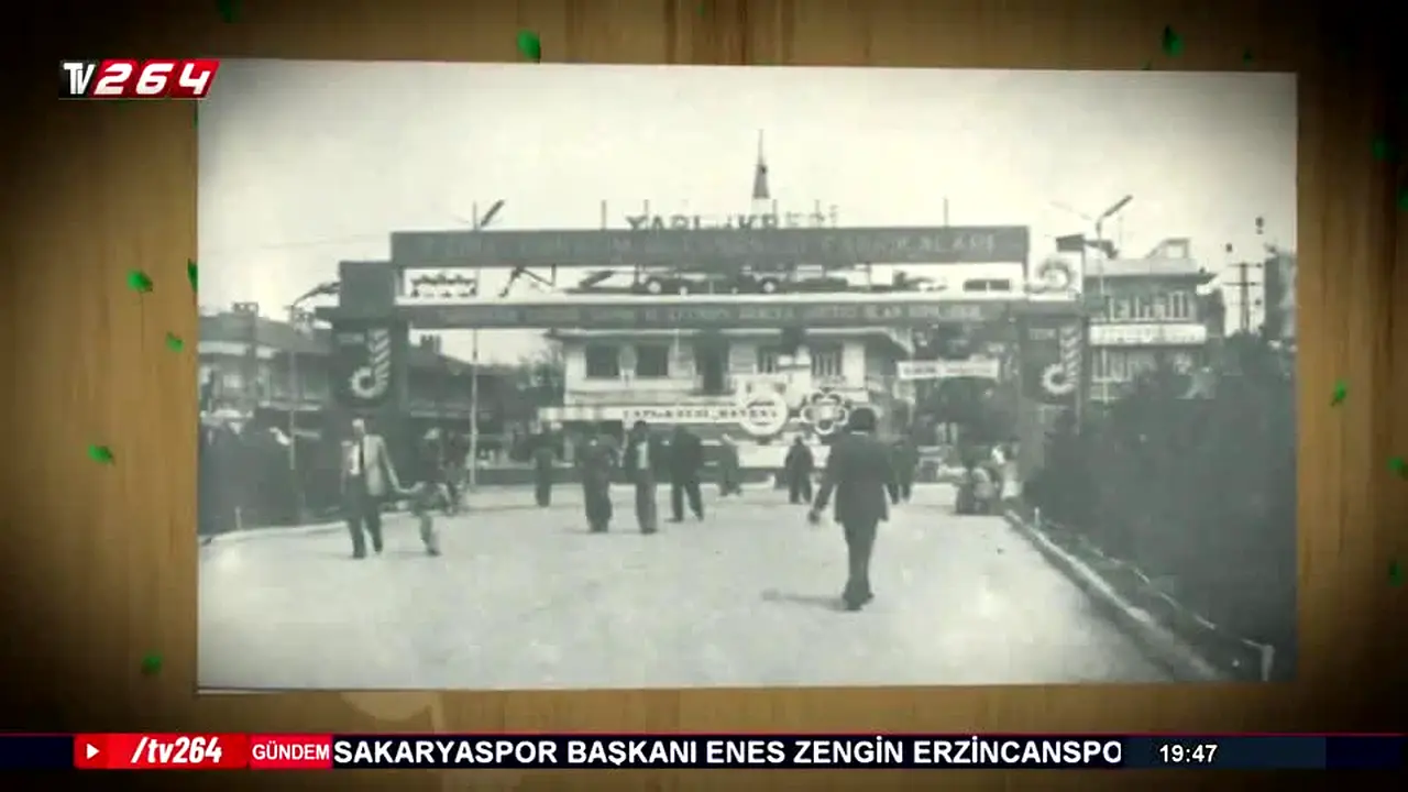 TV 264 en direct