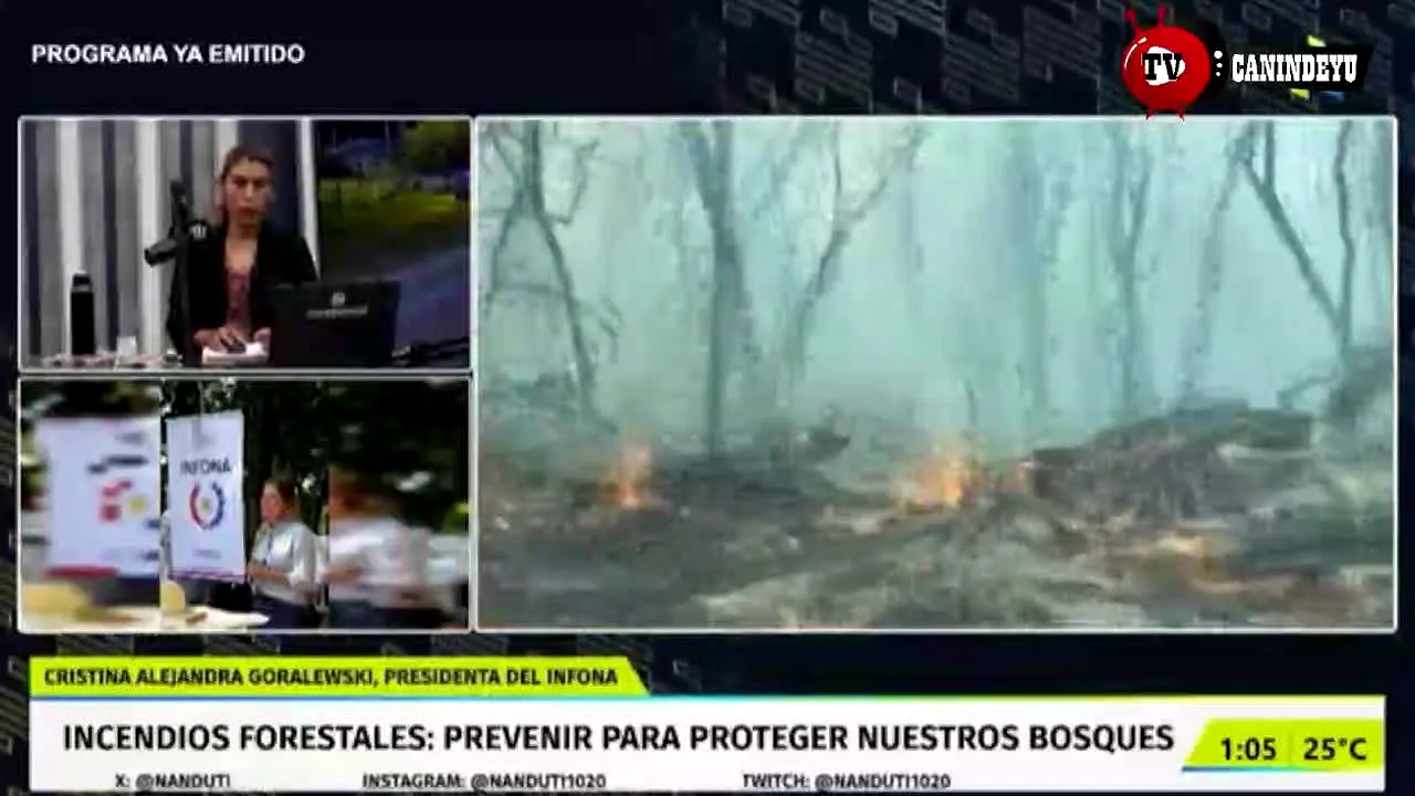 TV Canindeyu live