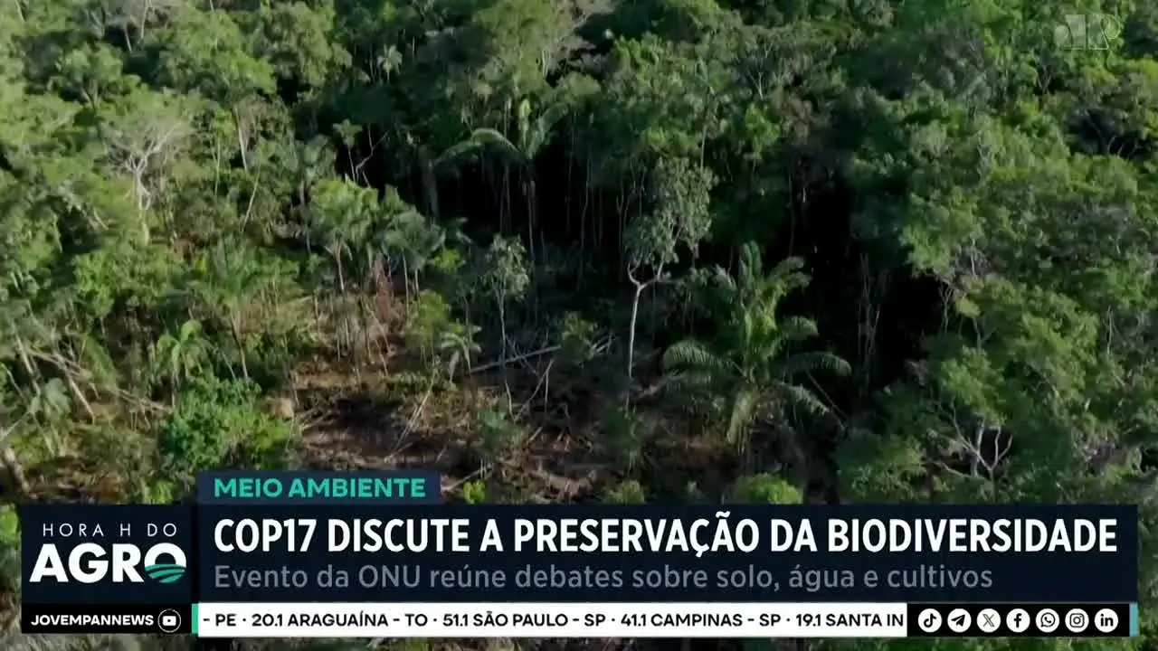 TV cidade verde Cuiabá live