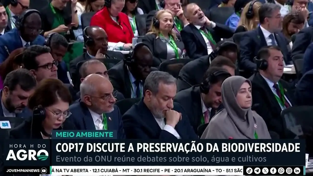 TV Fronteira live