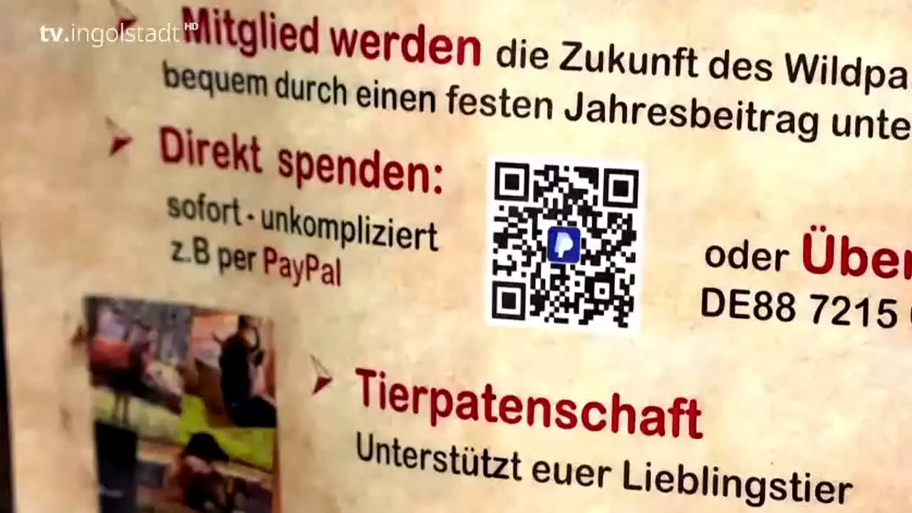 TV Ingolstadt na żywo