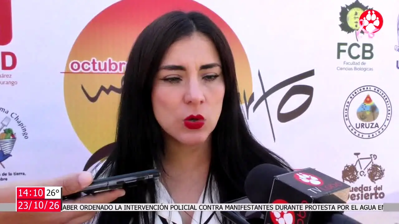 TV Lobo in diretta