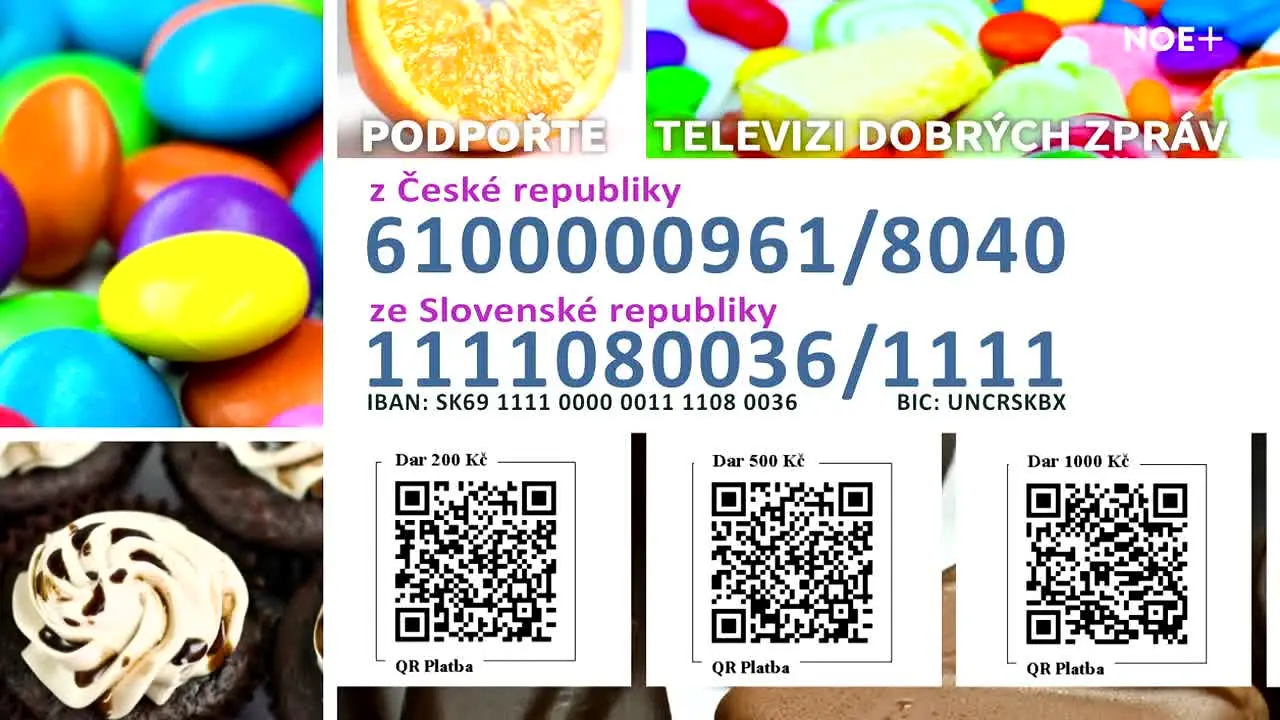 TV Noe+ — прямой эфир