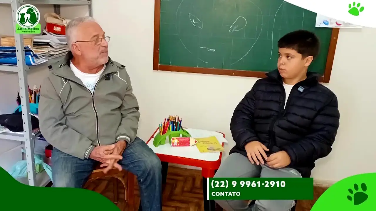 TV Zoom live