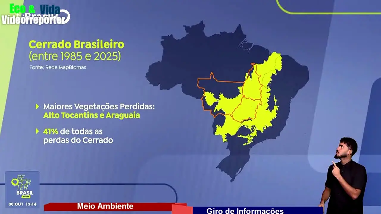 TVideoNews na żywo
