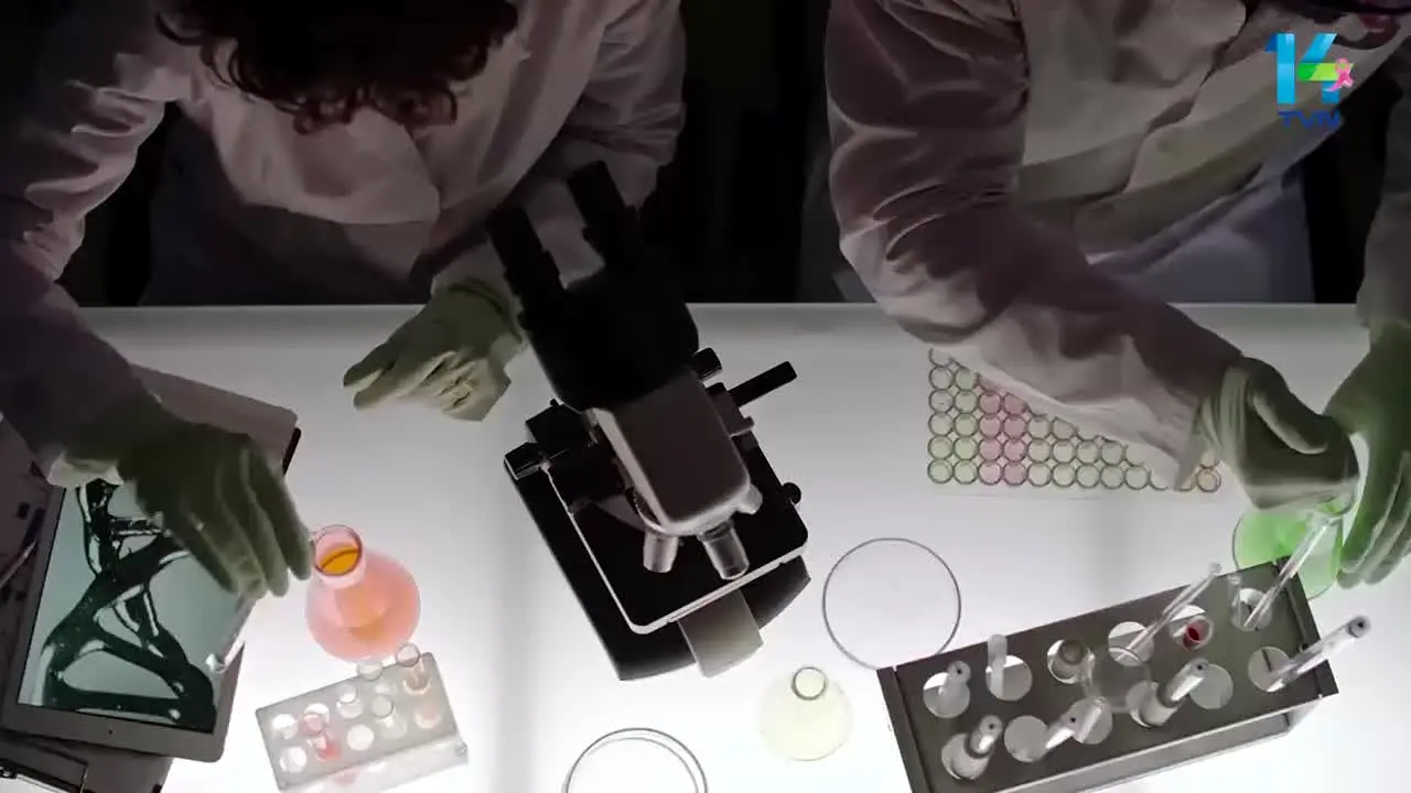TVN 14 ao vivo