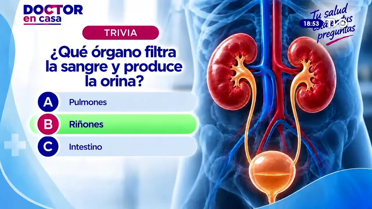 TVO San Vicente live