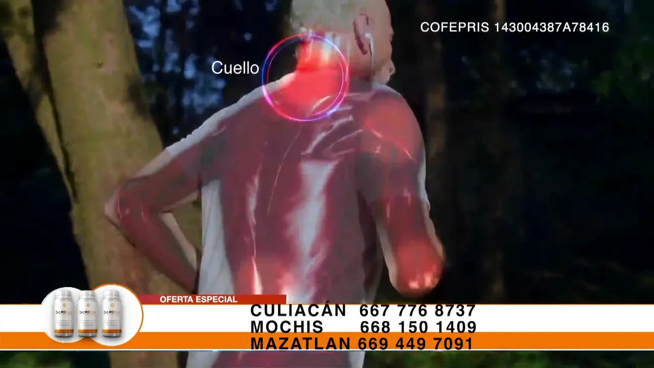 TVP Culiacan live