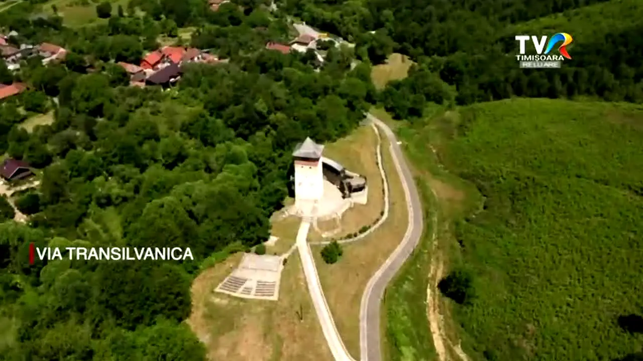 TVR Timișoara en direct