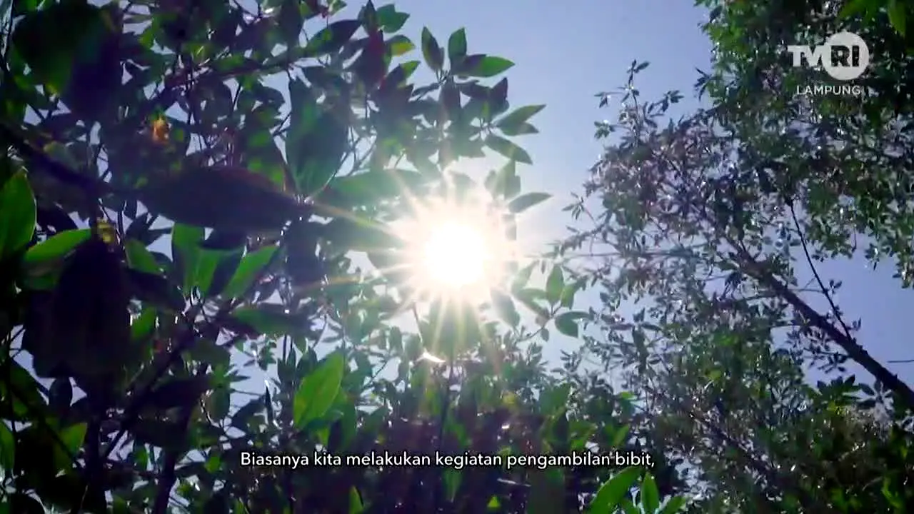TVRI Lampung na żywo