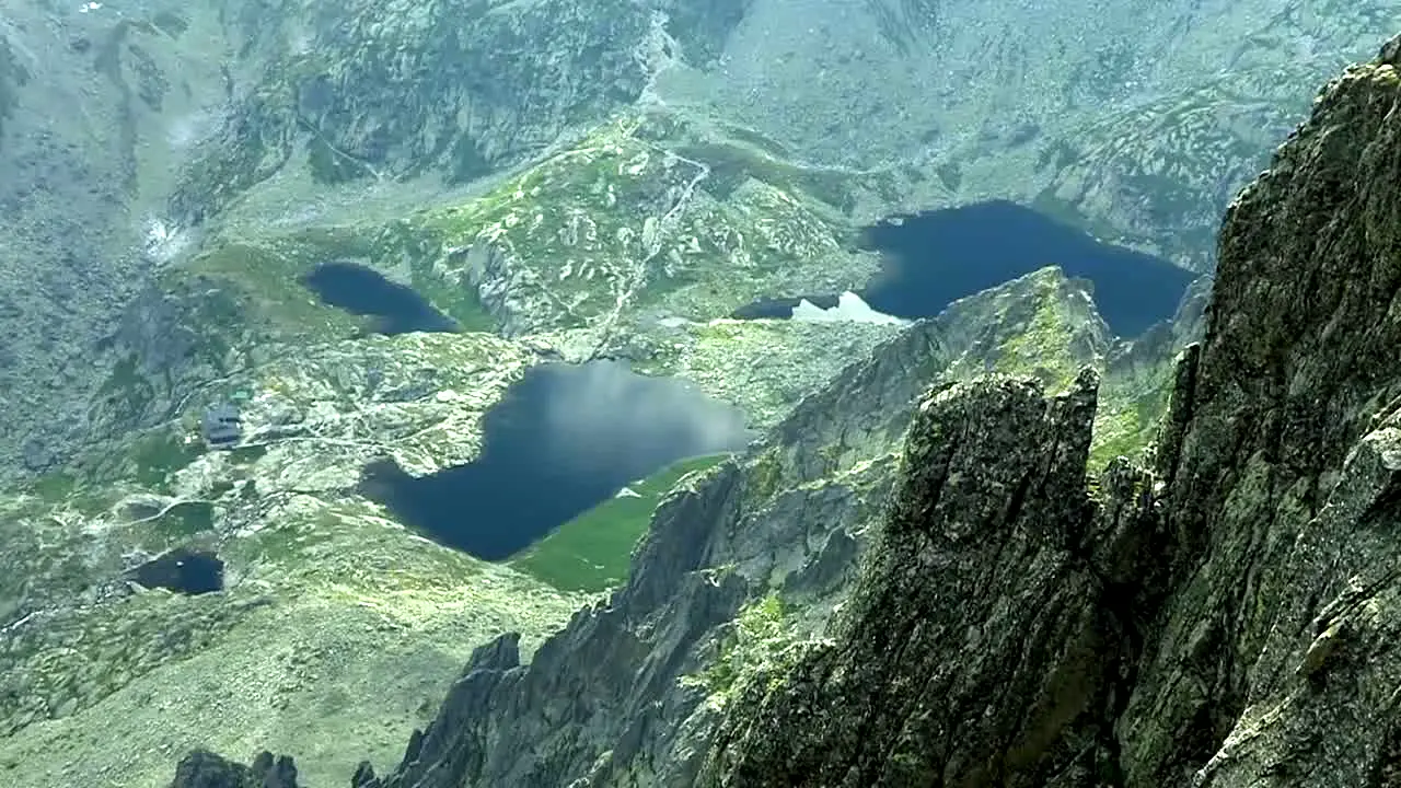 TVS Travel Network live