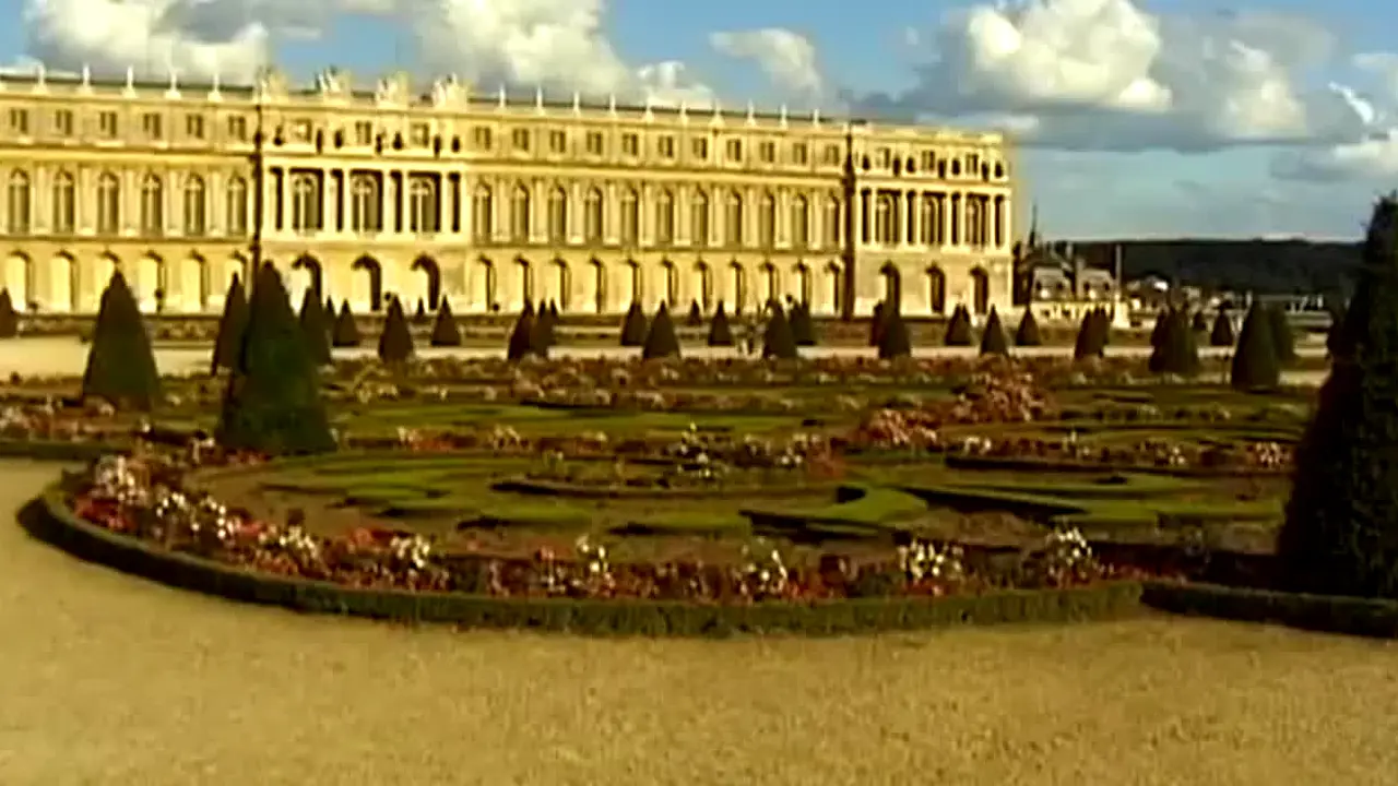 TVS Travel Network live