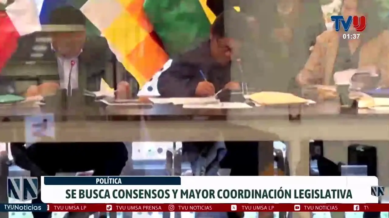 UMSA TVU LP in diretta