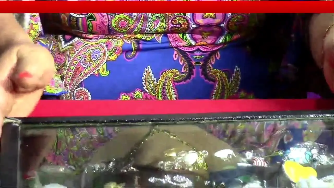 Uniquely Thai live