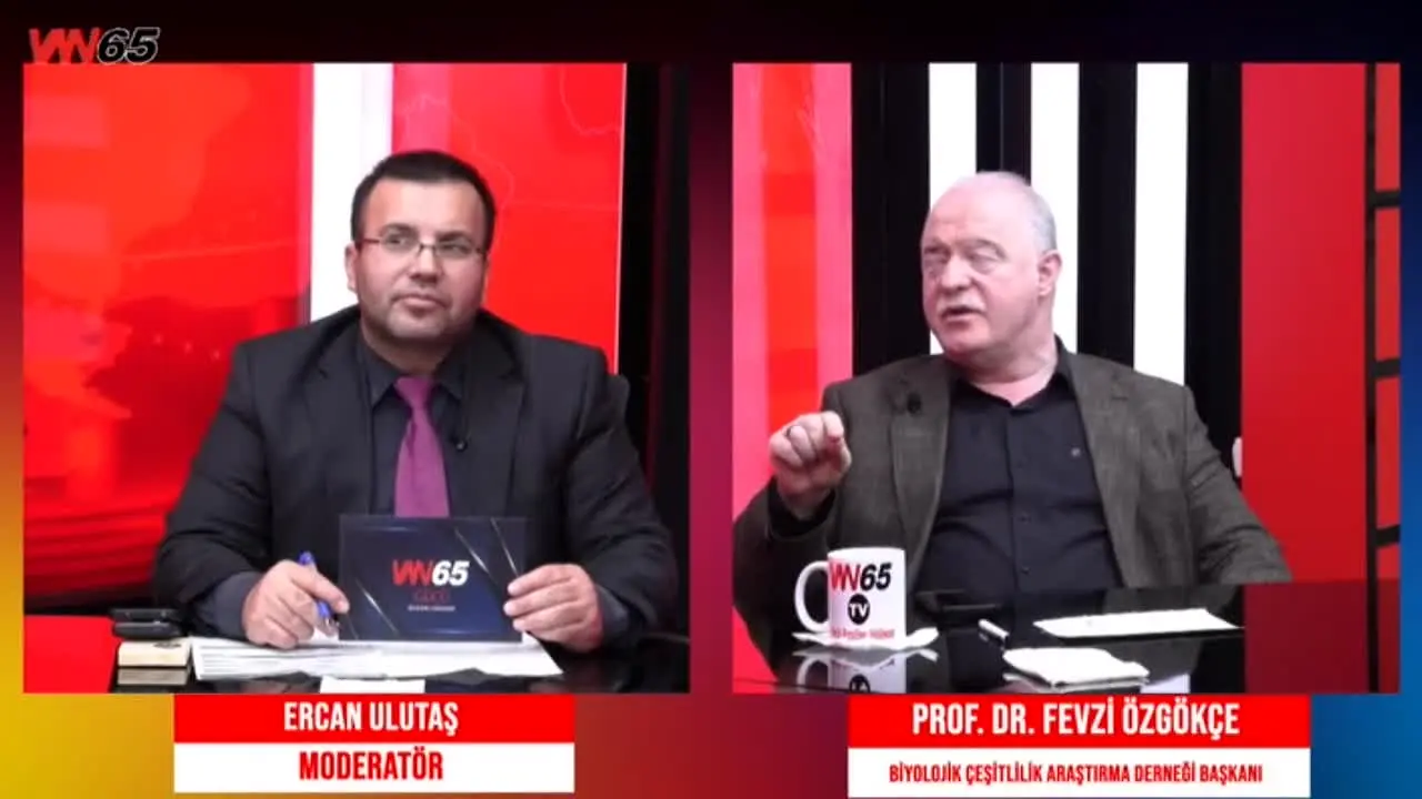 Van 65 TV live