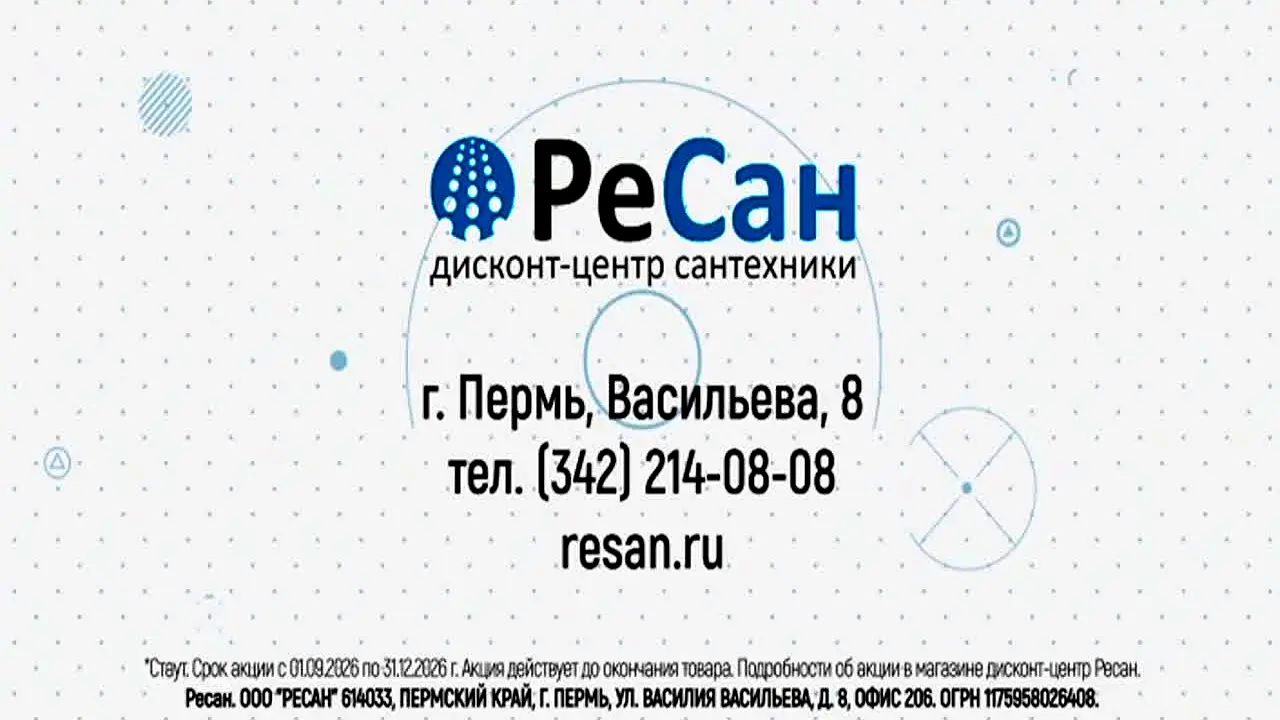 Ветта 24 live