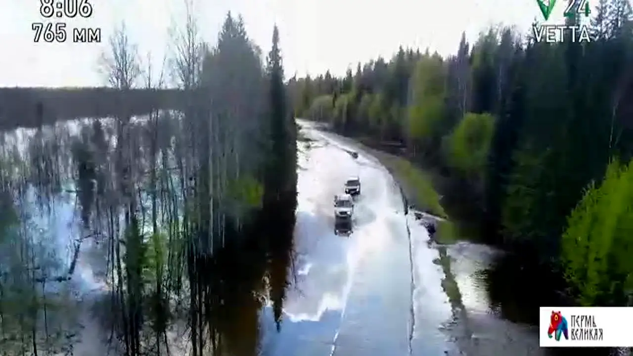 Ветта 24 in diretta