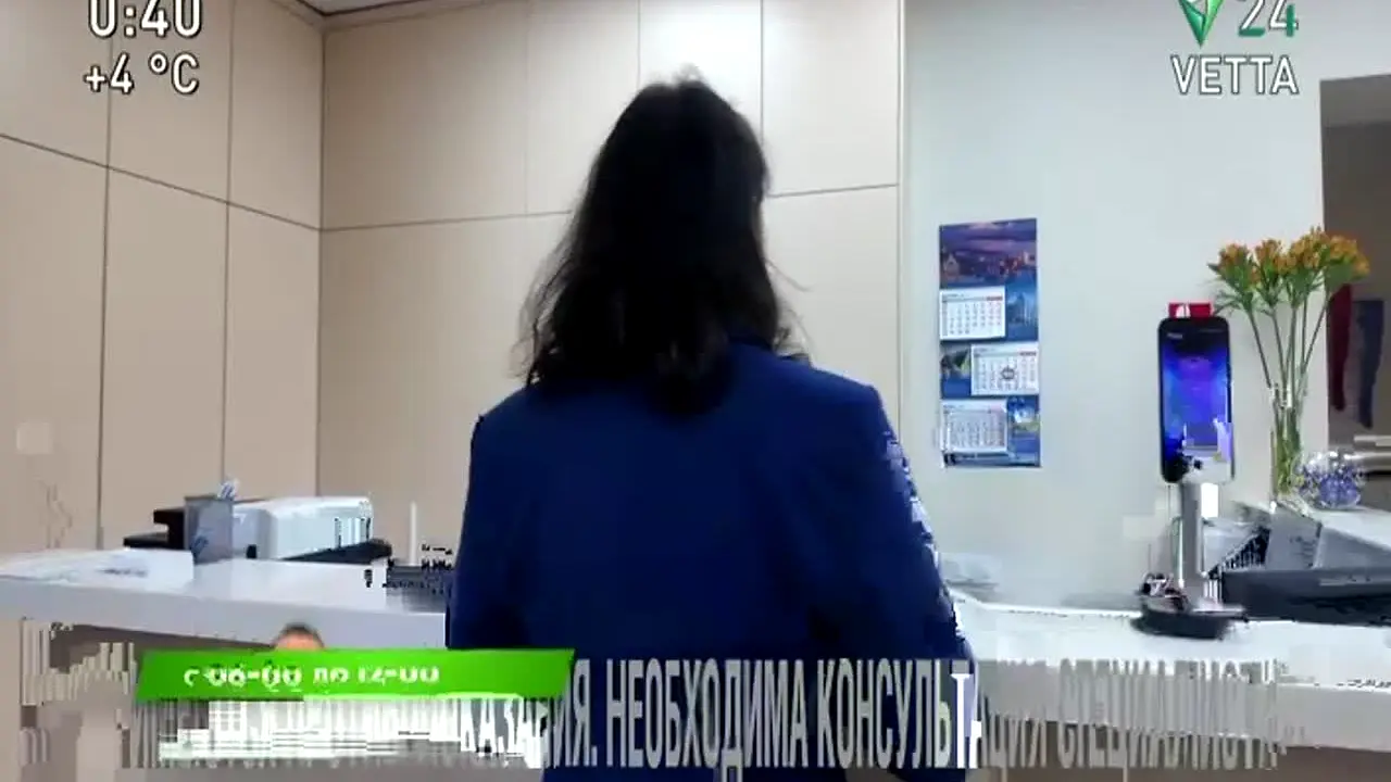 Ветта 24 live