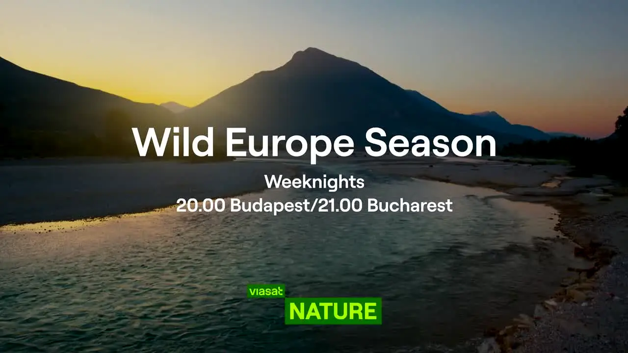 Viasat Nature live