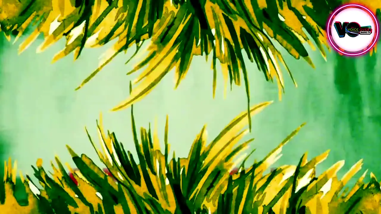 VoiceOver Radio TV live