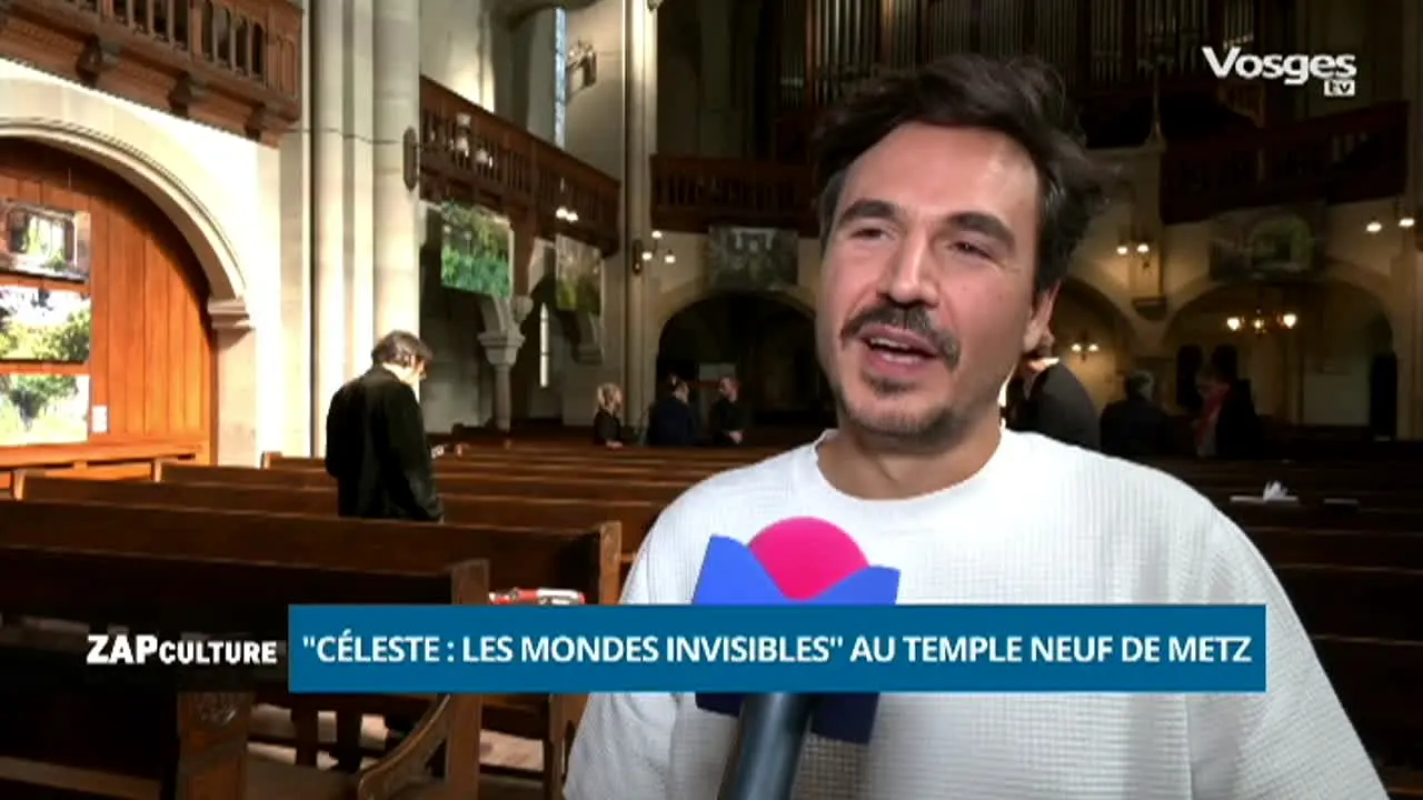Vosges TV live