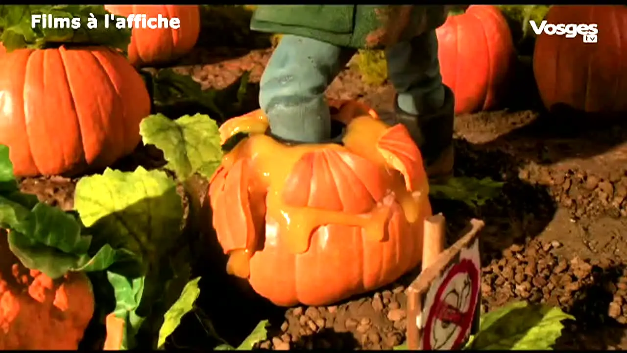 Vosges TV live