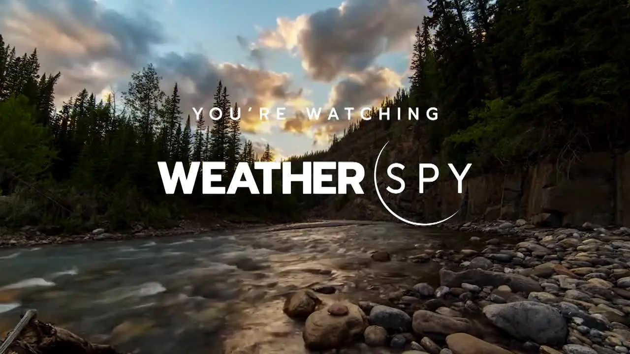 WeatherSpy en direct