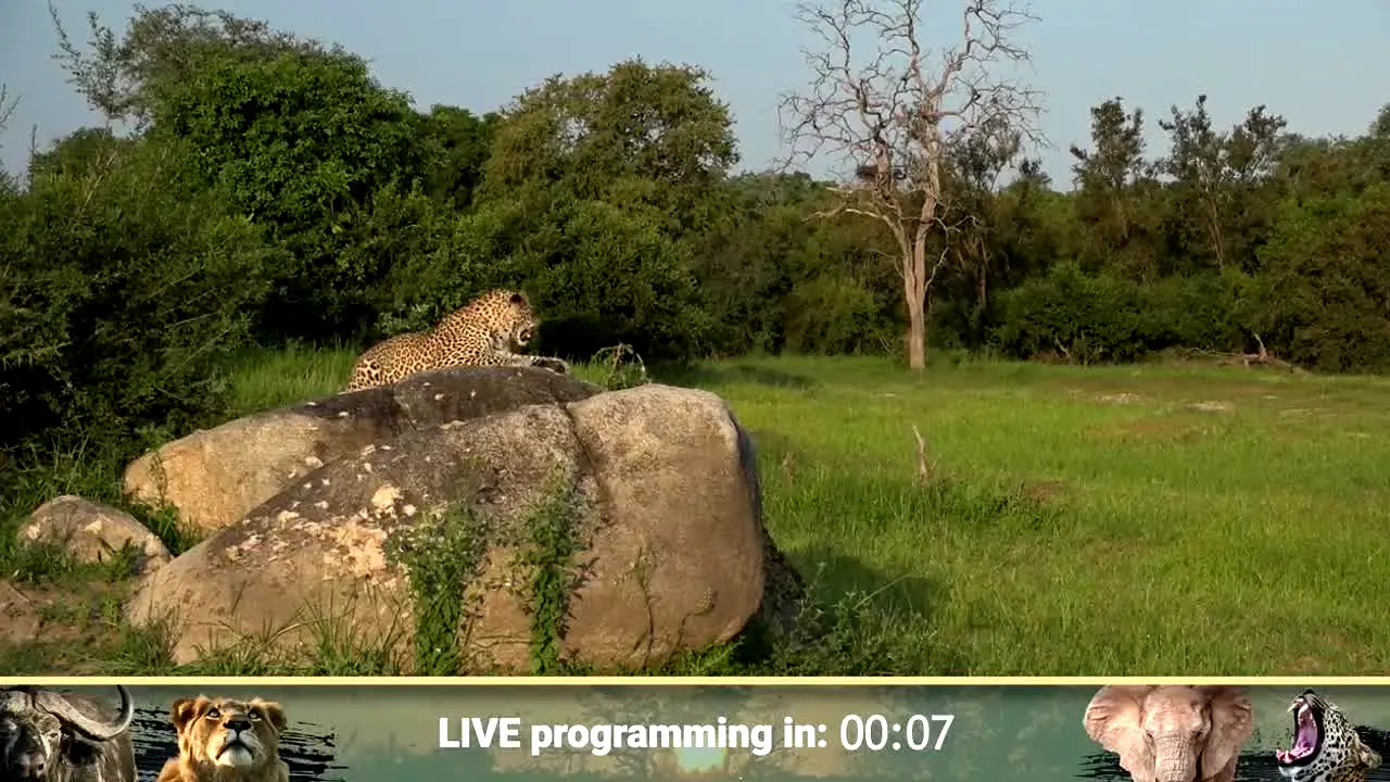 WildEarth live