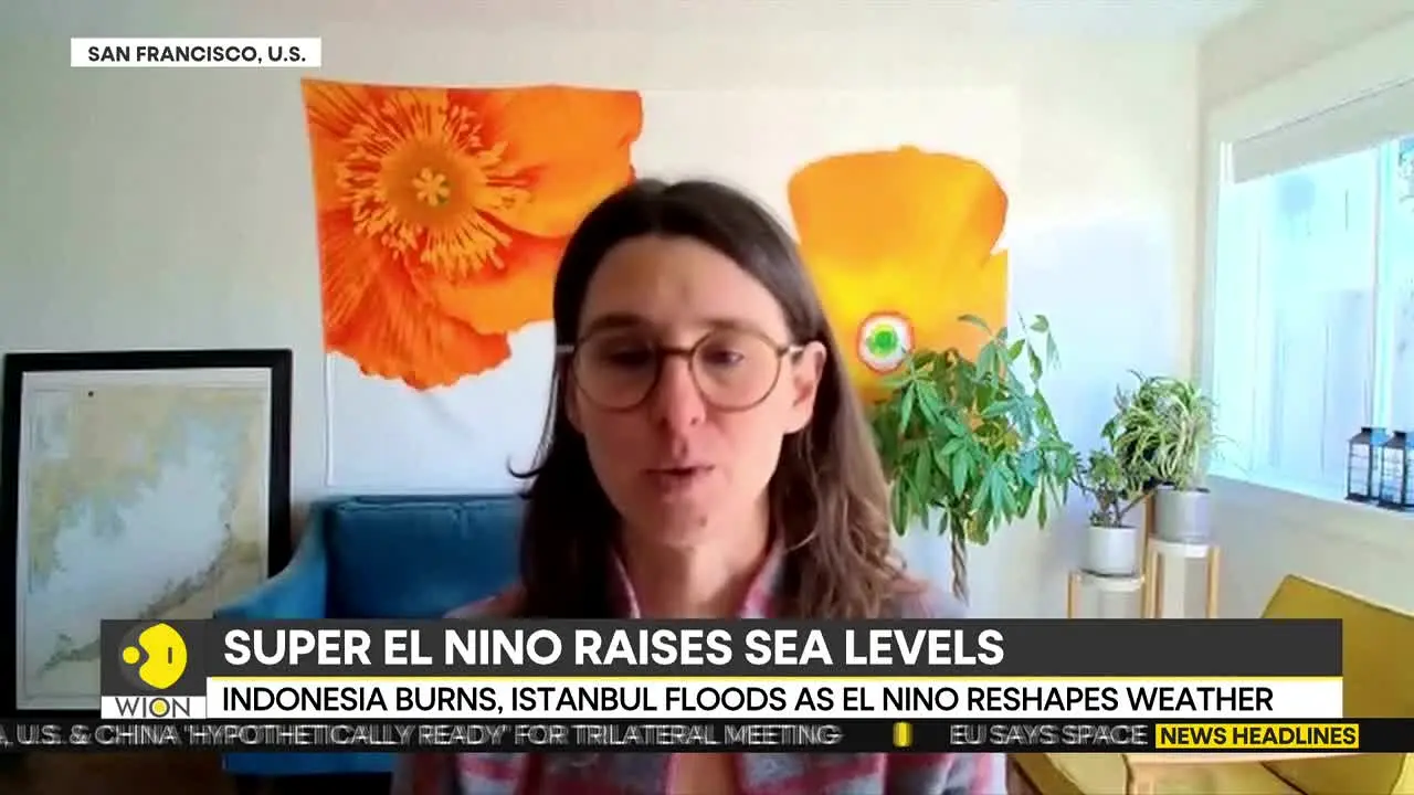 WION en vivo
