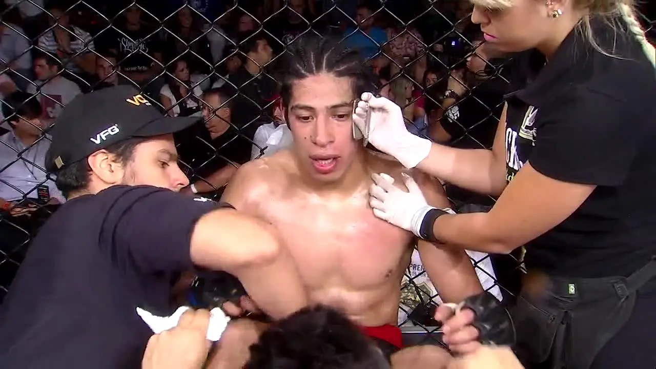 XFC TV ao vivo