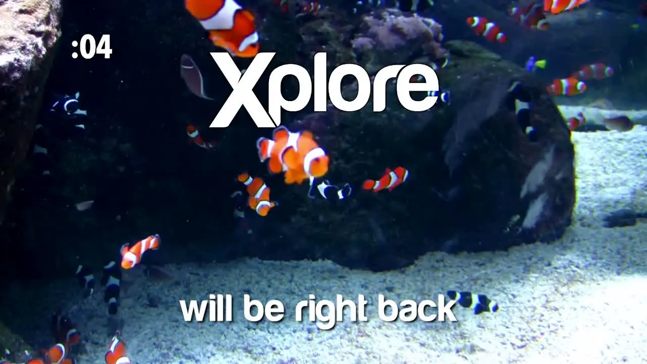Xplore TV live