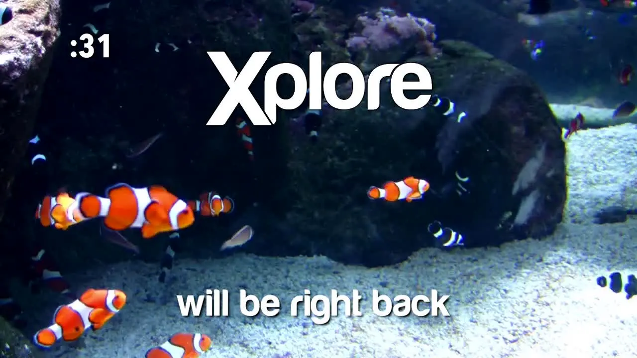 Xplore TV in diretta