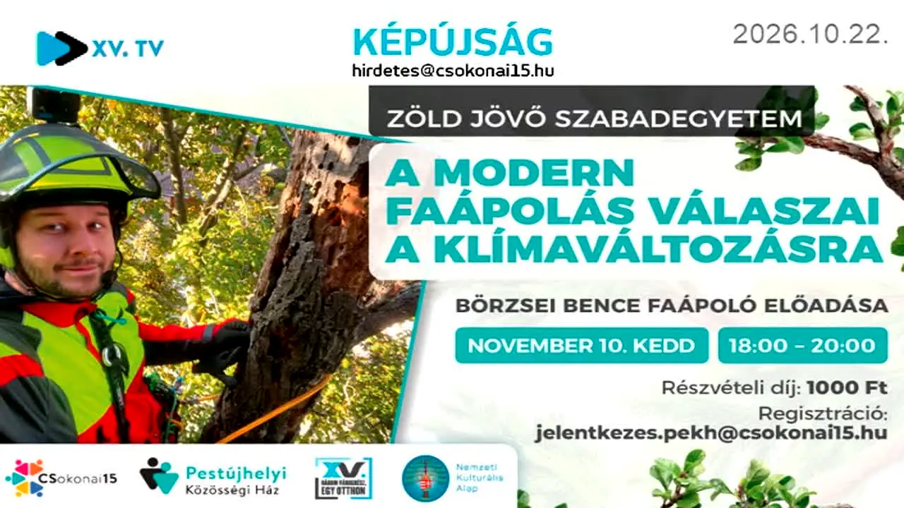 XV TV na żywo