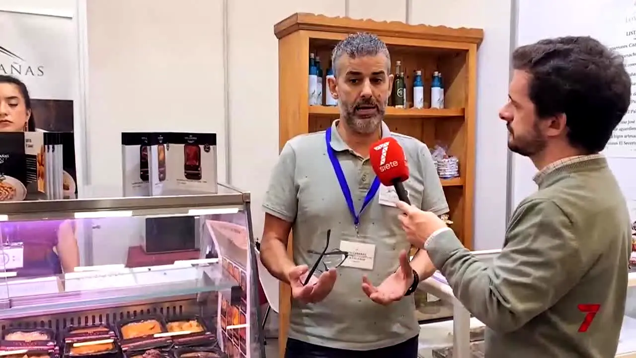 7TV Málaga live