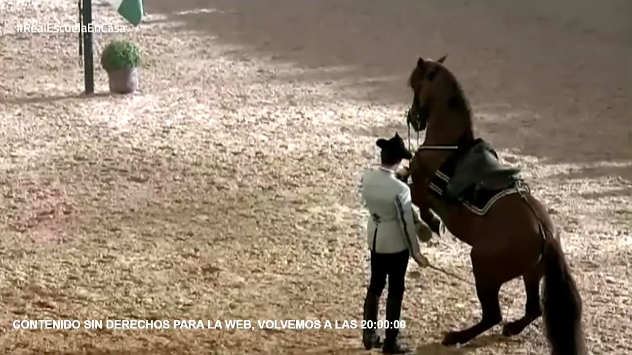 7TV Jerez live