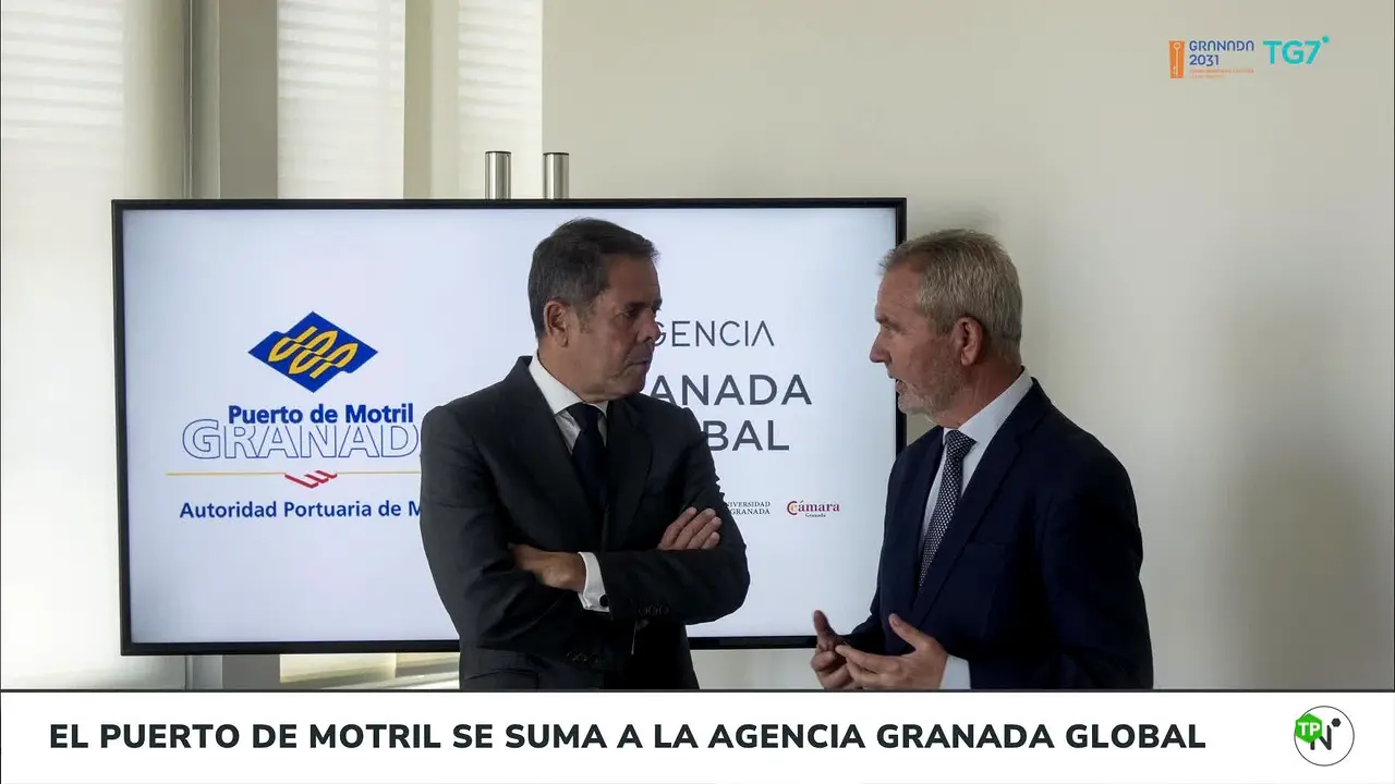 TG7 in diretta