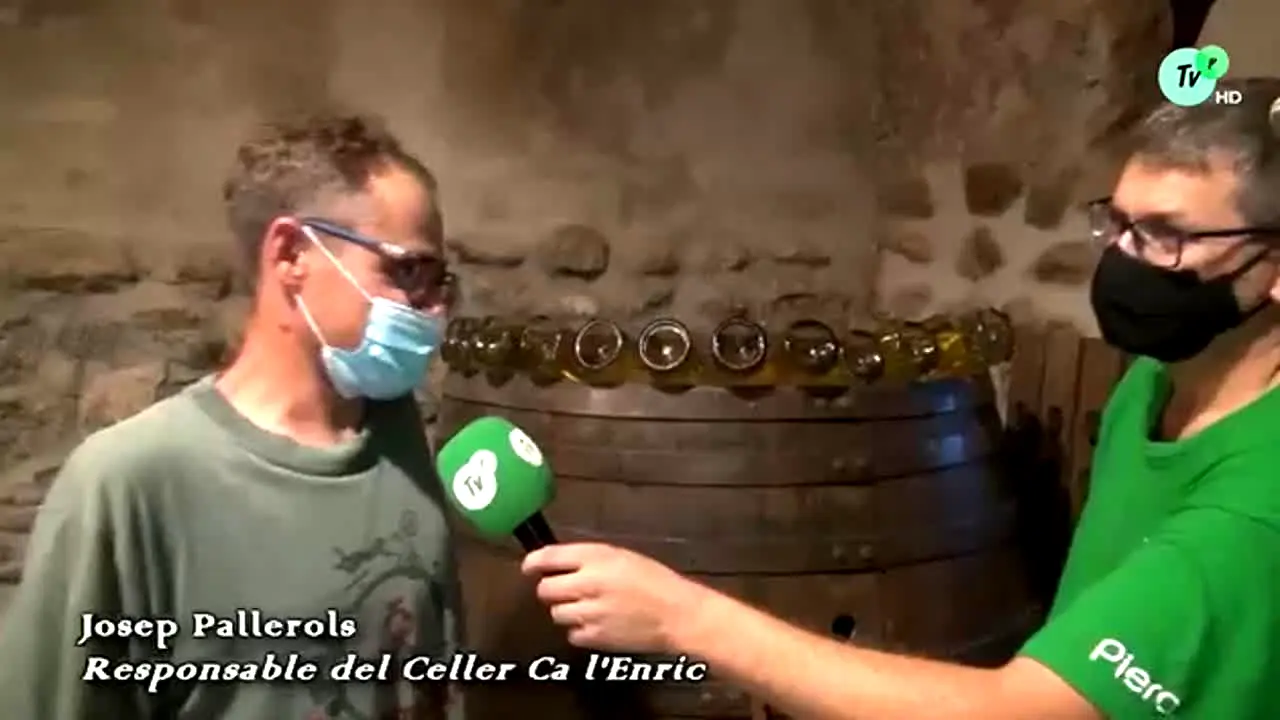 Piera TV na żywo