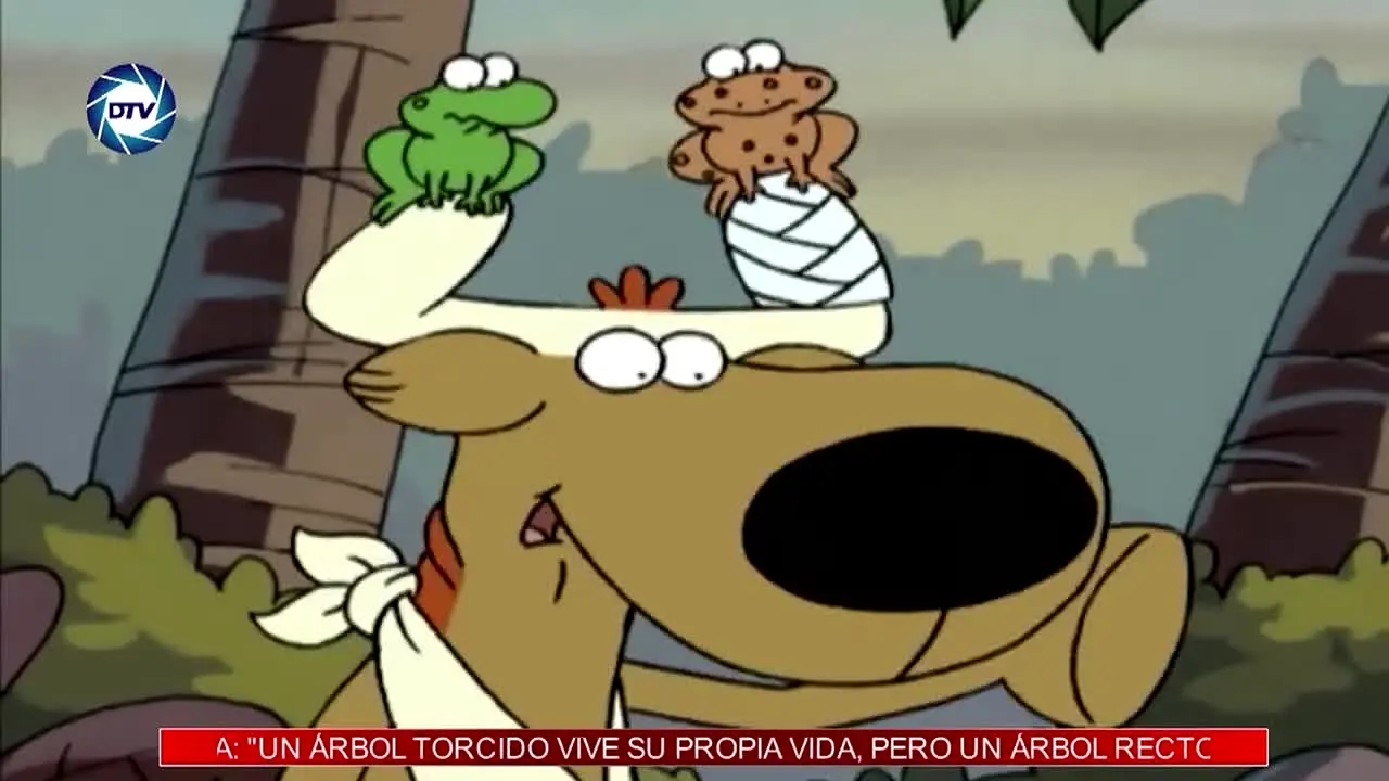 Distrito TV na żywo