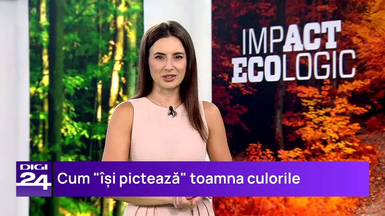 Digi24 Rumanía RO live
