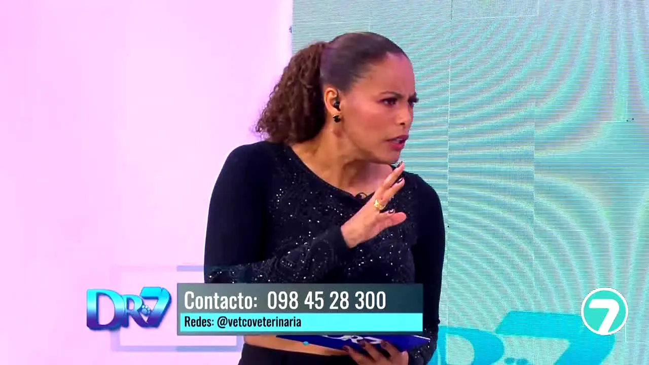 Ecuador TV — прямой эфир