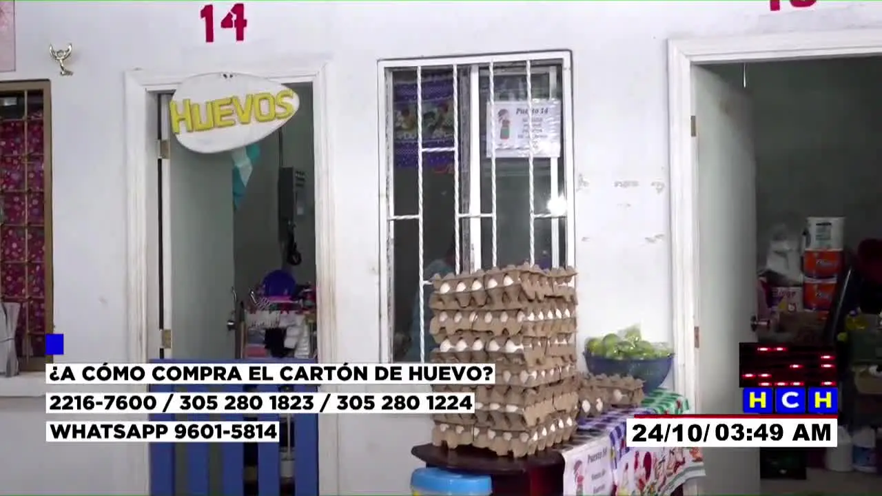 HCH Honduras na żywo