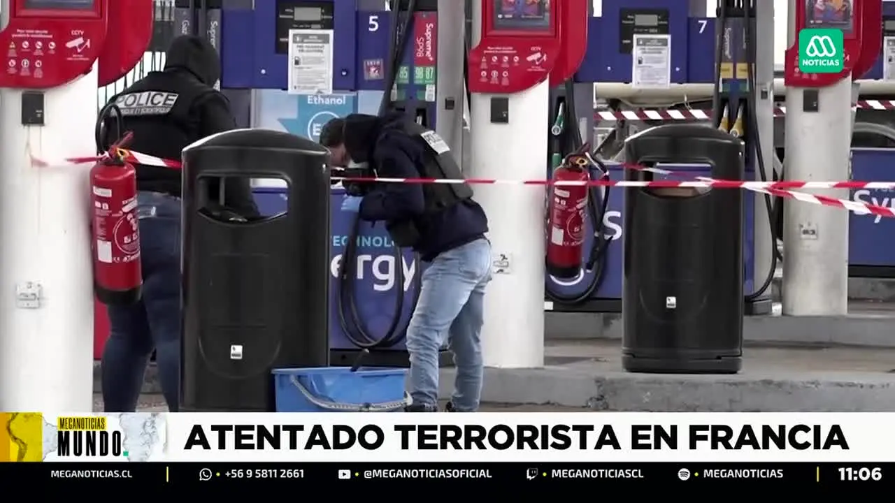 Mega en vivo